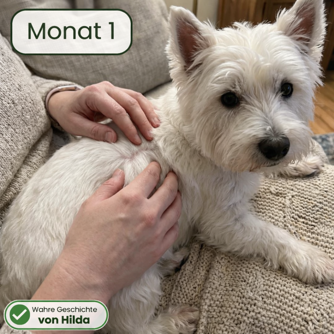 PawRelief Bites - Juckreiz & Allergie Leckerlis - 120 Stück