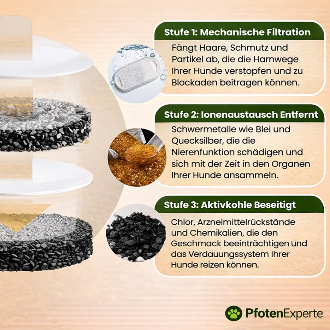 AquaExpert- Der antibakterielle Trinkbrunnen mit Filtration