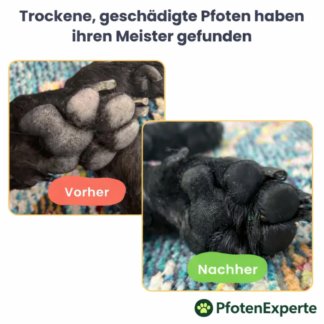 Pfotenbalsam für Hunde