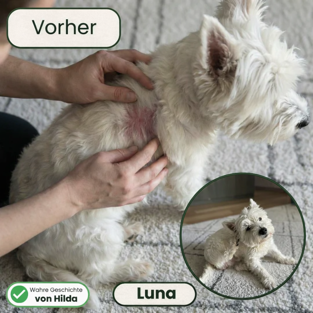 PawRelief Bites - Juckreiz & Allergie Leckerlis