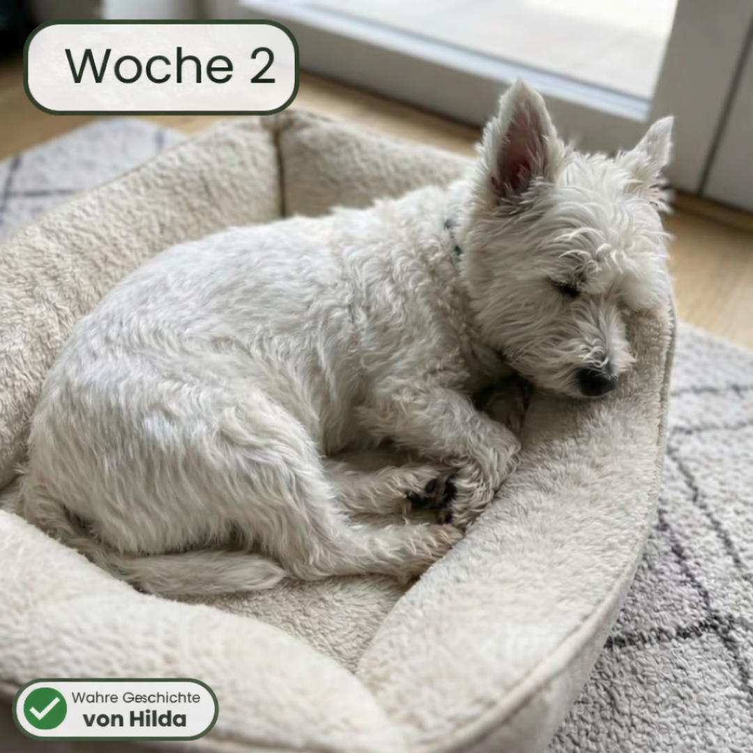 PawRelief Bites - Juckreiz & Allergie Leckerlis