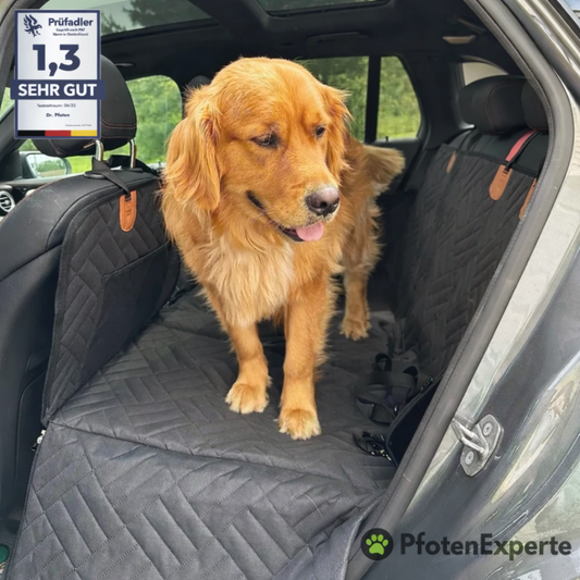 HundeSchutz - Stabiler Autositzbezug