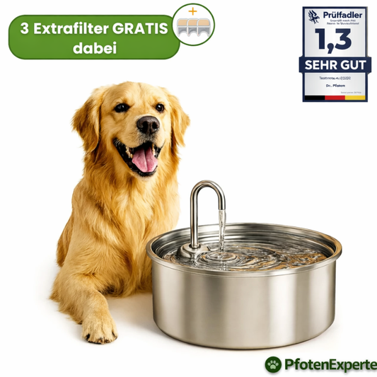 AquaExpert- Der antibakterielle Trinkbrunnen mit Filtration