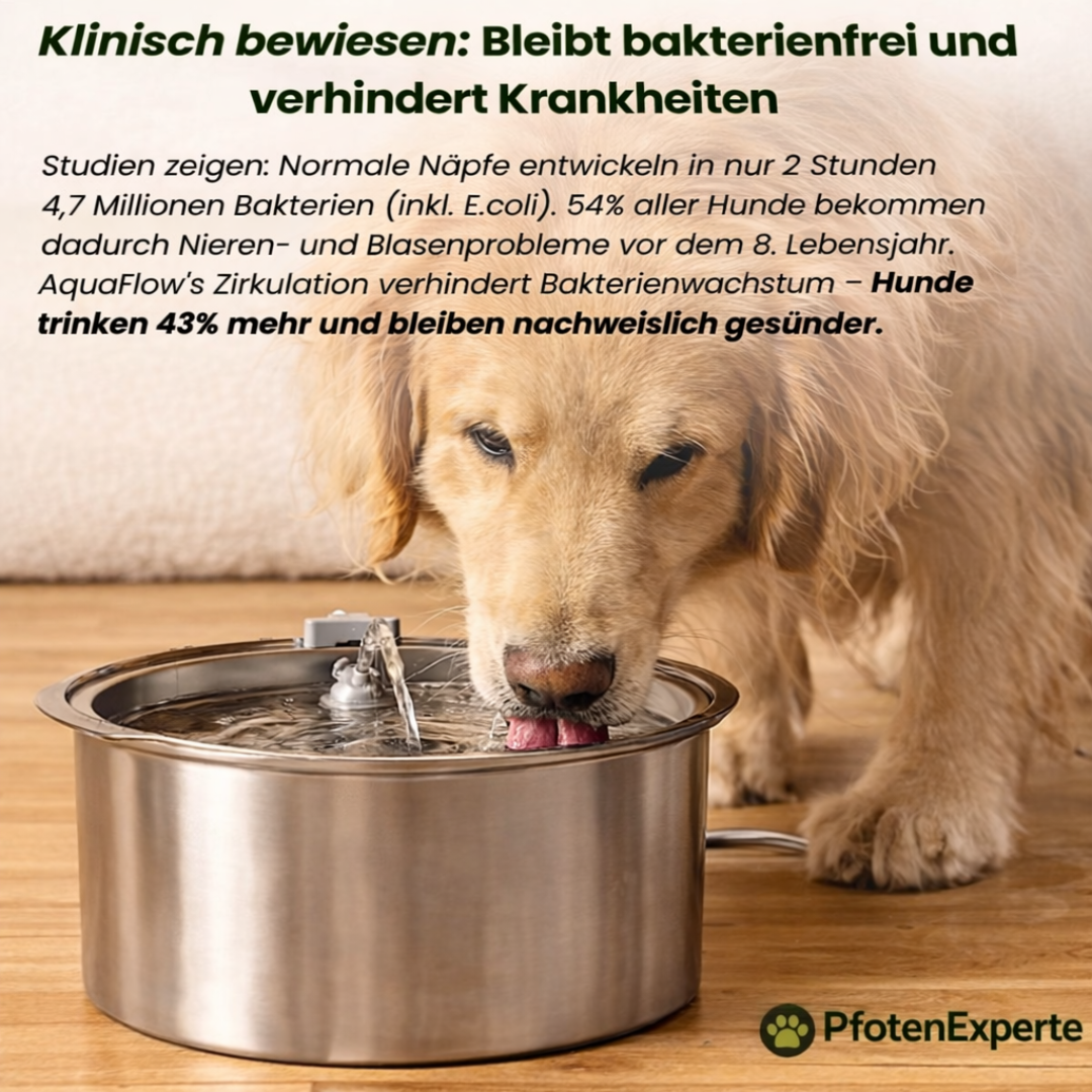 AquaExpert- Der antibakterielle Trinkbrunnen mit Filtration