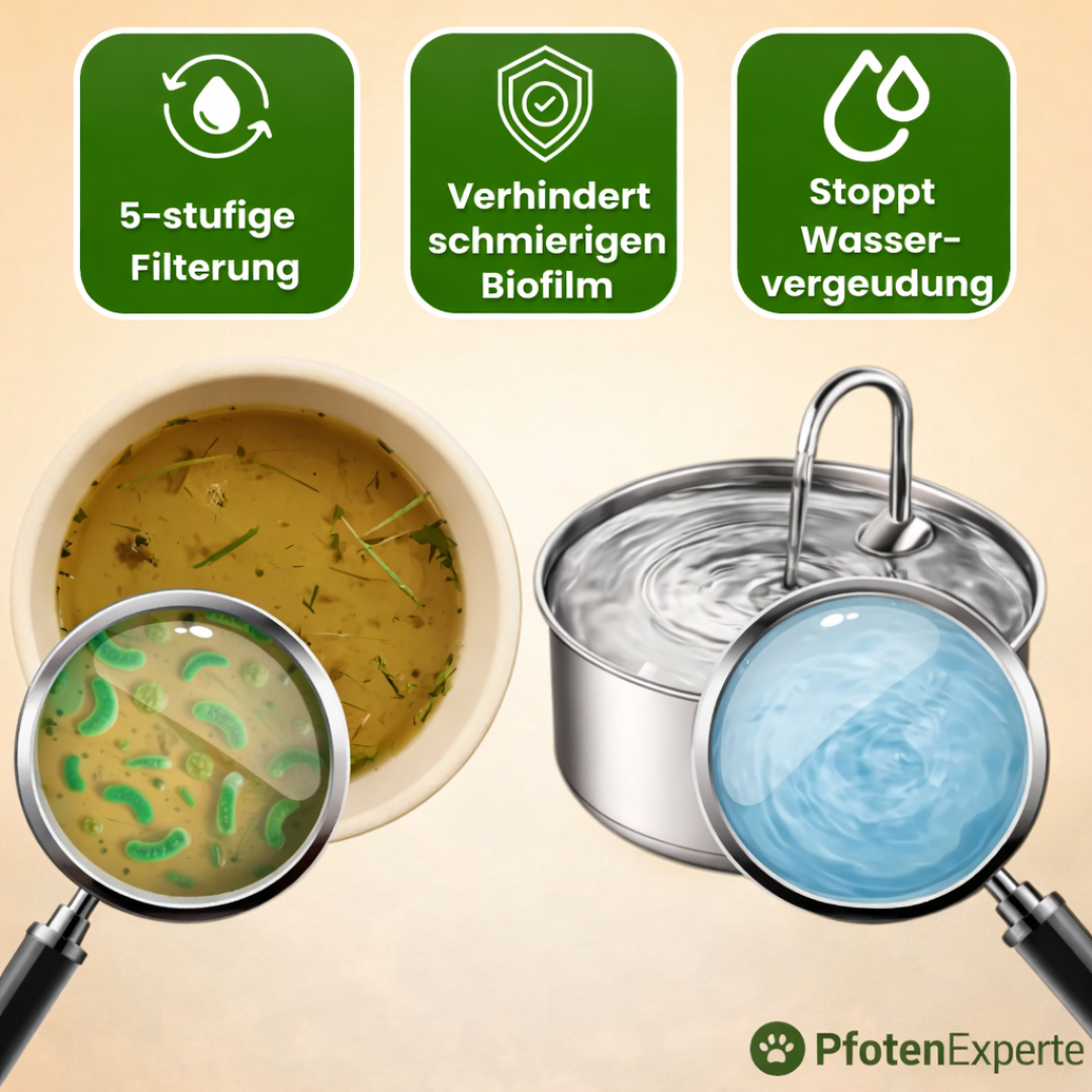 AquaExpert- Der antibakterielle Trinkbrunnen mit Filtration