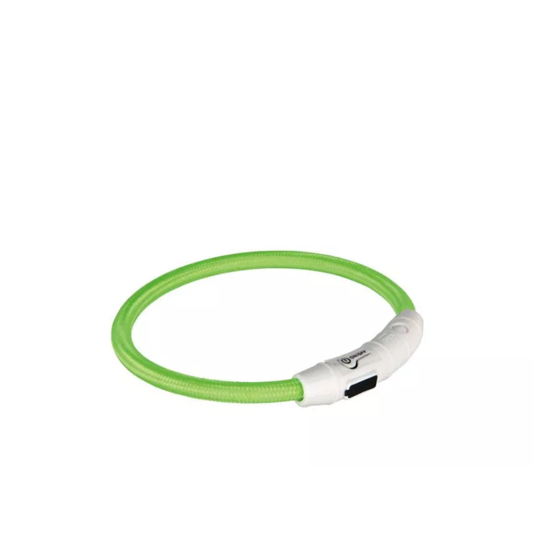 Leuchthalsband USB Flash grün