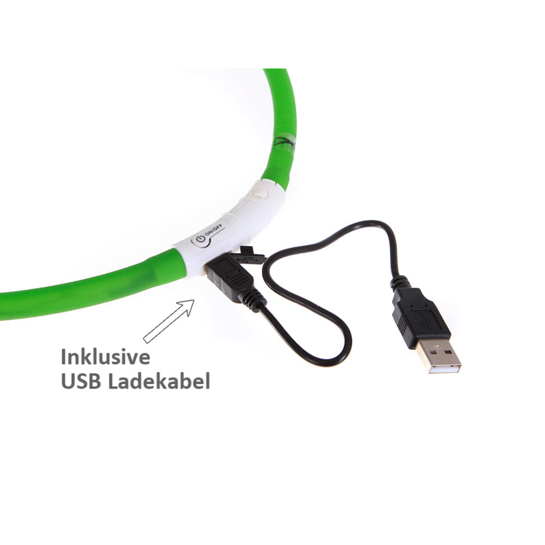 Leuchthalsband USB Flash grün