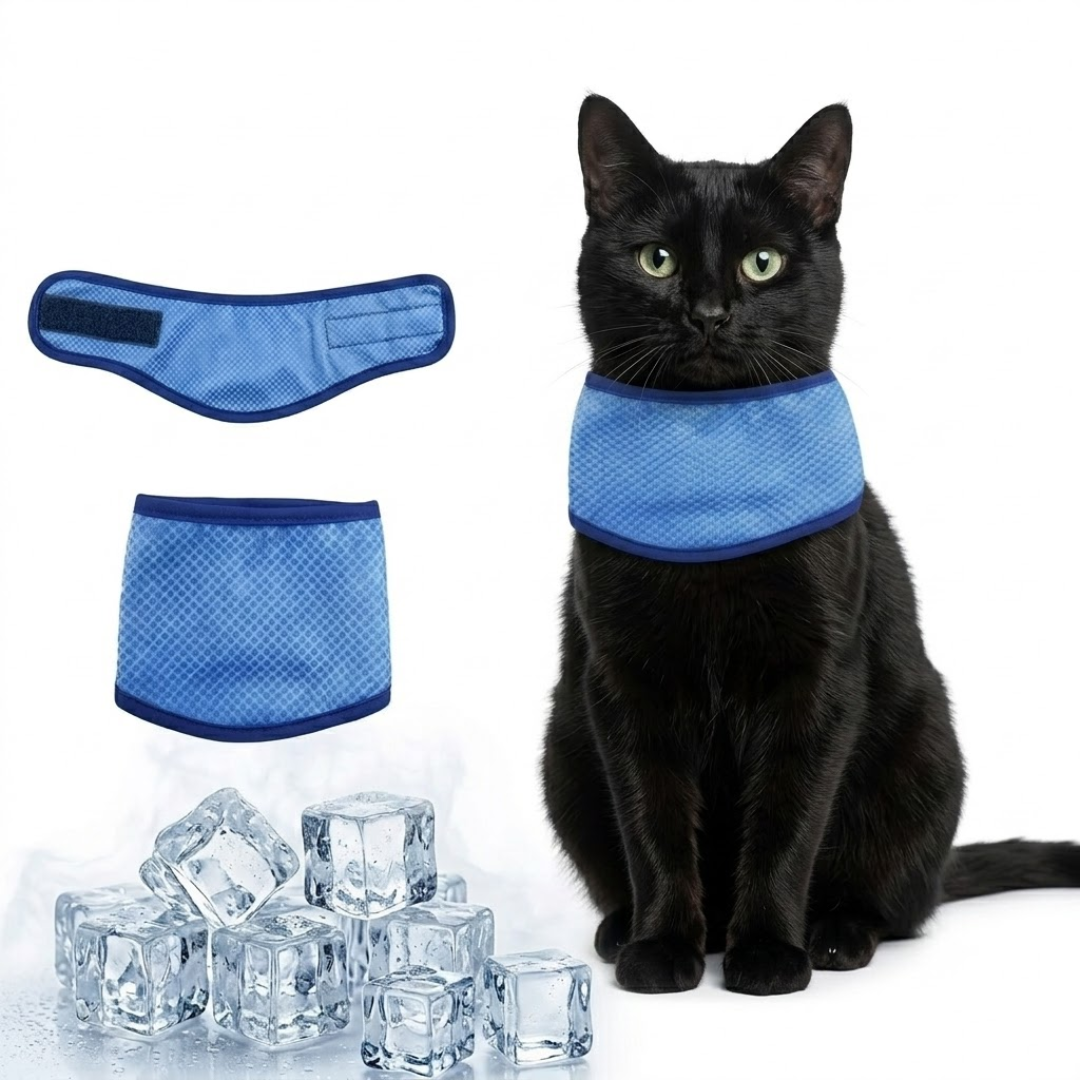 Kühlender Schal für Hunde und Katzen
