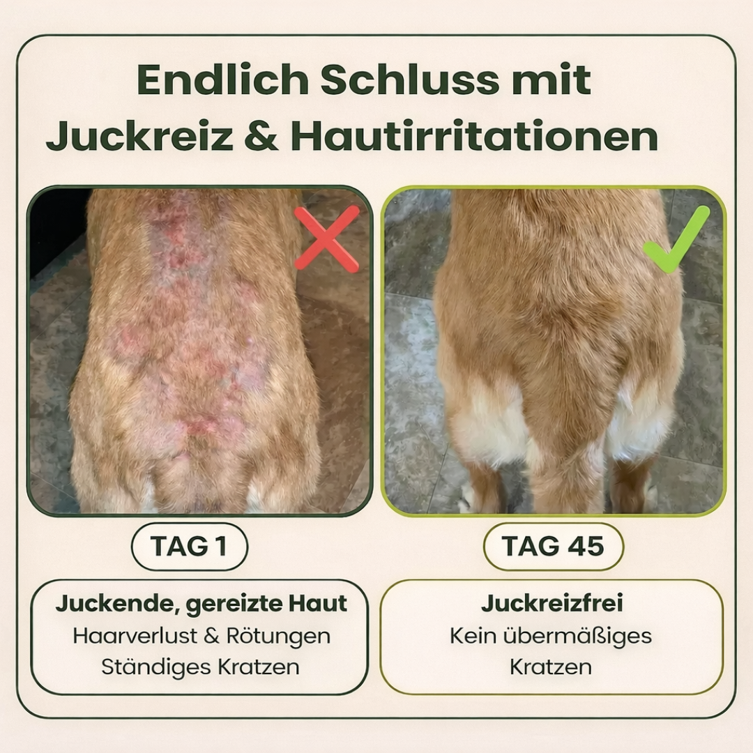 PawRelief Bites - Juckreiz & Allergie Leckerlis