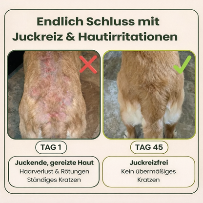PawRelief Bites - Juckreiz & Allergie Leckerlis