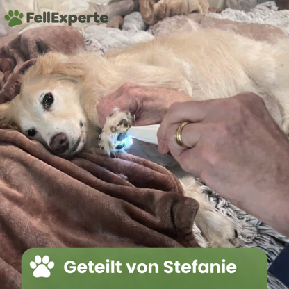 SanftePfote Pro™ - Schmerzfreie Pfotenpflege in Sekundenschnelle