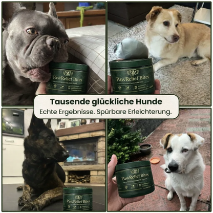 PawRelief Bites - Juckreiz & Allergie Leckerlis